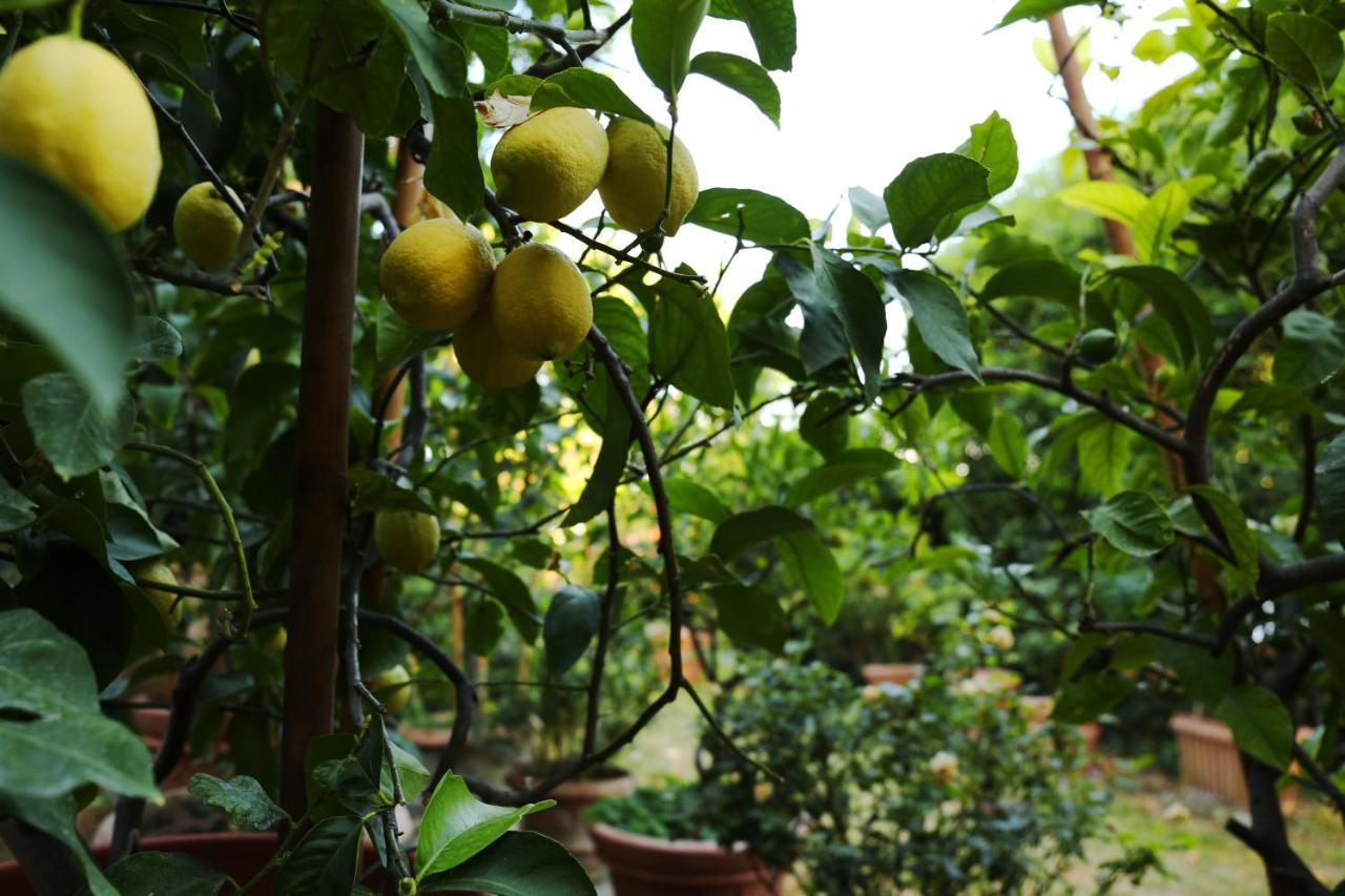 Relais Casamassima Villa Perugia Kültér fotó