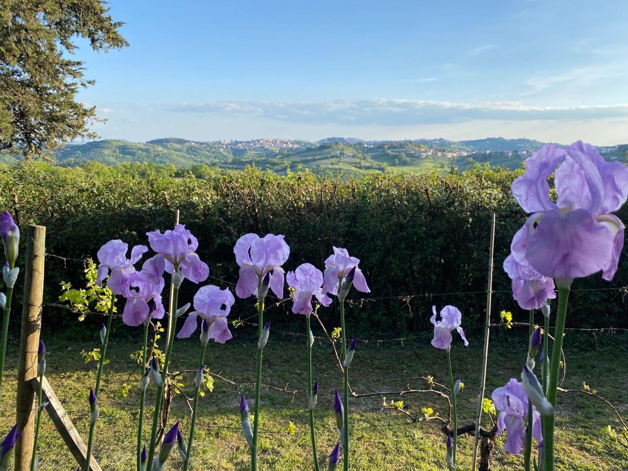 Relais Casamassima Villa Perugia Kültér fotó